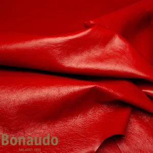 Bonuado Kangaroo Tecnico