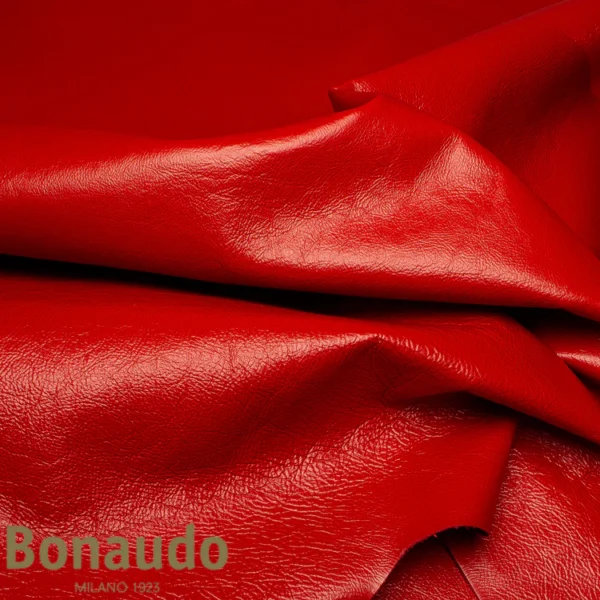 Bonuado Kangaroo Tecnico