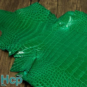 Hcp Glazed Alligator