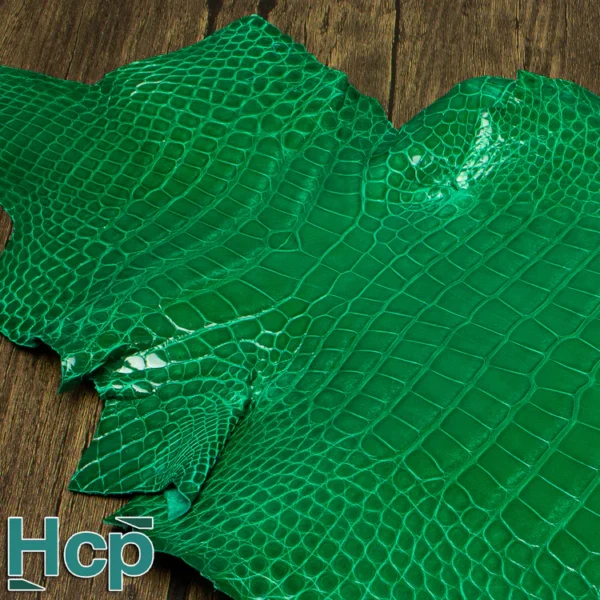Hcp Glazed Alligator